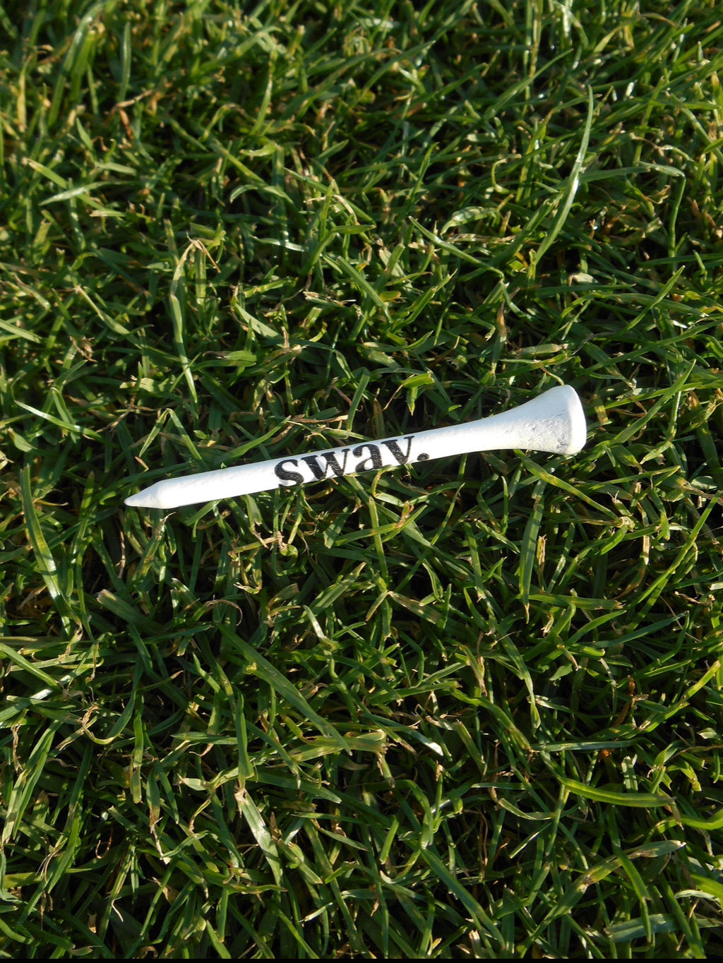 Golf Tube w/ Dozen Golf Tees