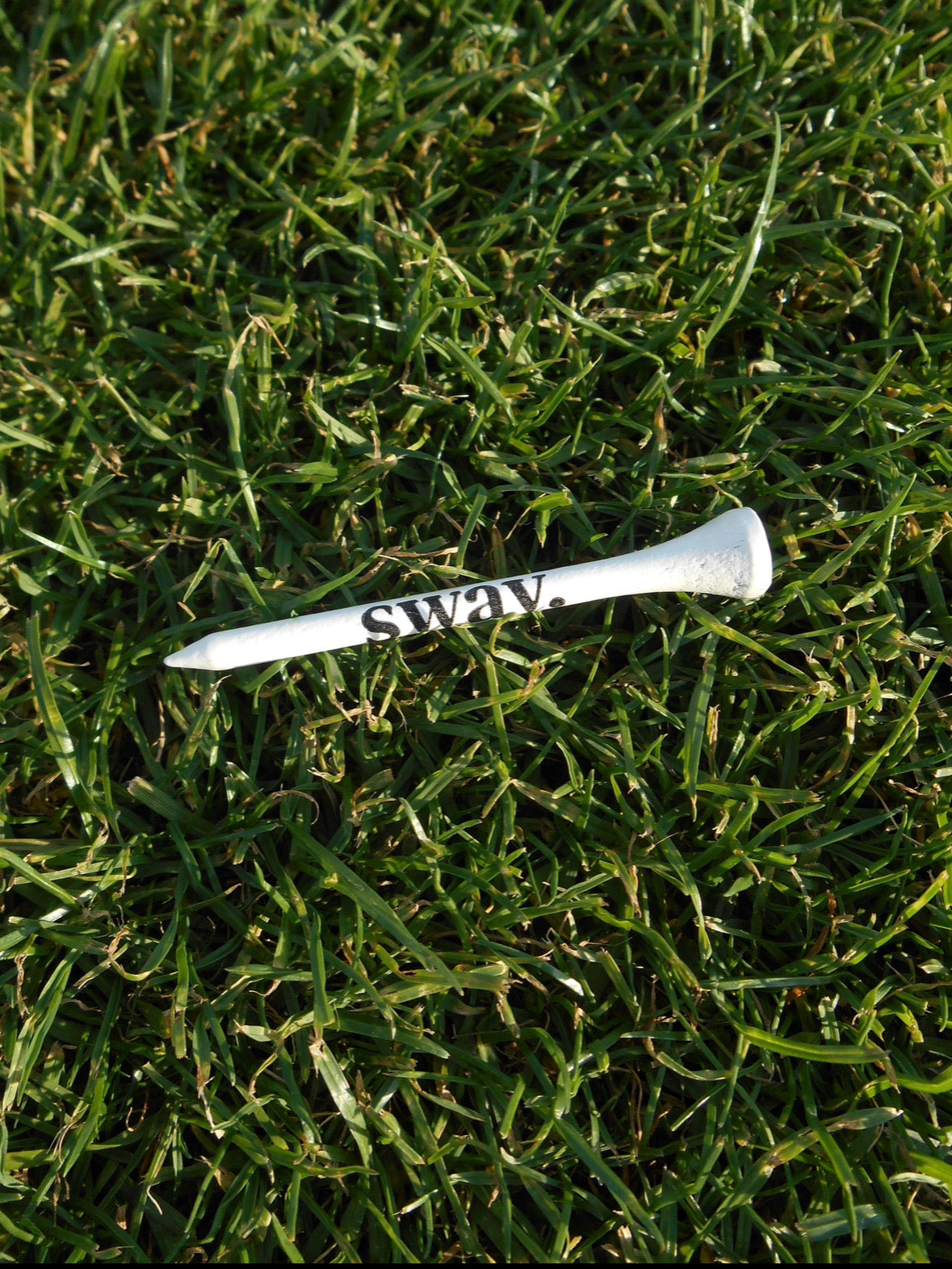 Golf Tube w/ Dozen Golf Tees